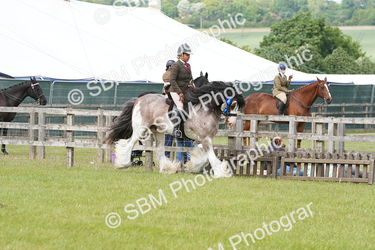 SBM_17633 - Class 107-108 - LIHS BSPS Performance Coloured Horse Pony