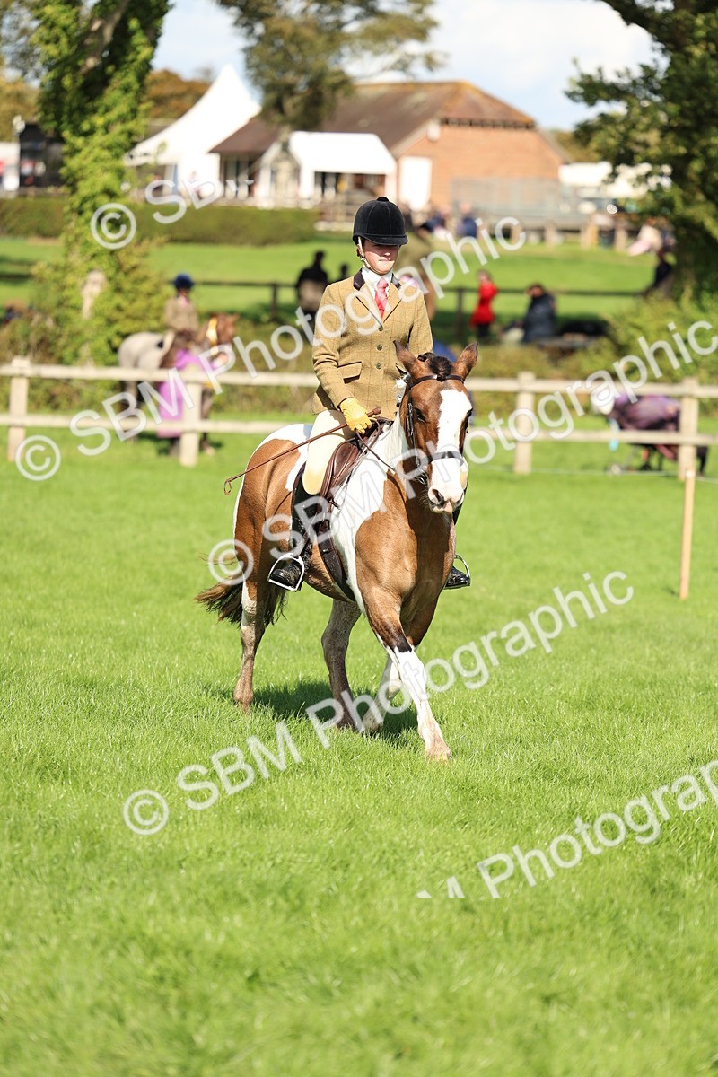 SBM_45480 - S33 - Working Hunter Pony