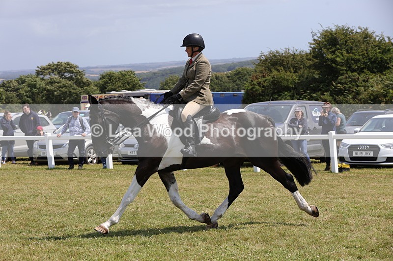 1X9A4600 - Class 34: Veteran Ridden