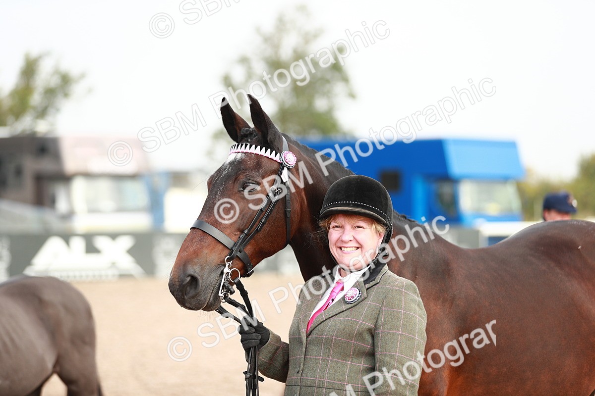 SBM_09498 - Class 201 Best Turned Out IH