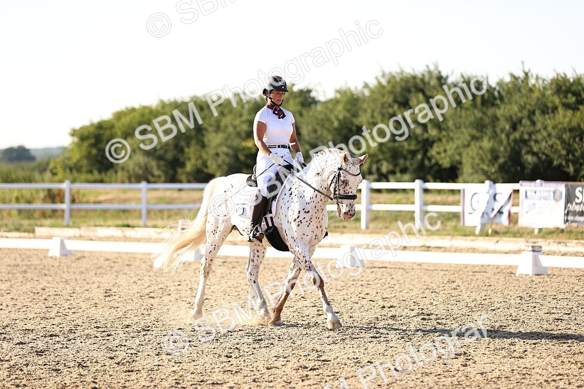 SBM_007805 - Elementary 4 - 17.07-18.22