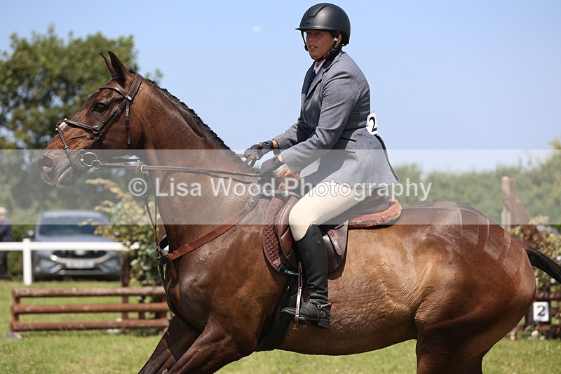 JPP_3008 - Class 22: Working Hunter 70cm