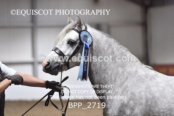 BPP_2719 - LOOSE JUMPING / SPSS