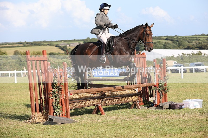 JPP_3122 - Class 21: Working Hunter 80cm