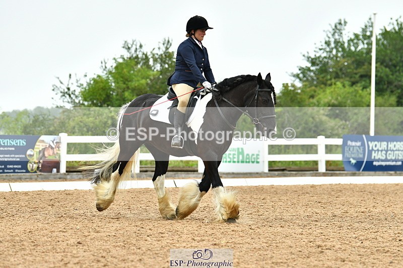 230708A-105131-02424 - Prelim 13