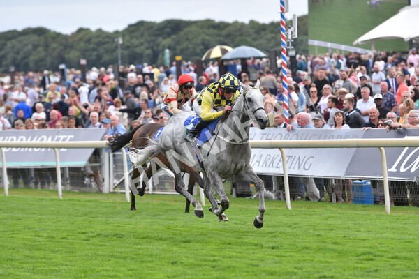 yr17082022r5-47 - Race 5 4.10pm Sky Bet Stayers Stakes