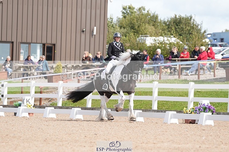 250906-123113-02199 - 014-Katrina.EllisSilverstor.IV