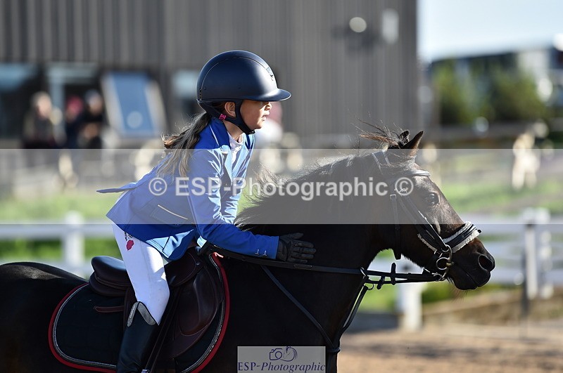 230903A-090236-03432 - Cls 17 Pony Intro 75cm