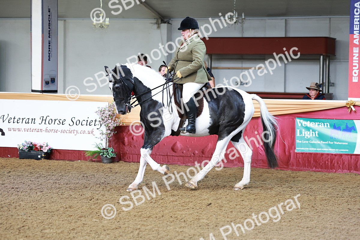 SBM_11856 - Class 102 - Equitation (Best Rider) Adult