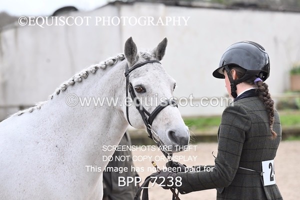 BPP_7238 - RING 1  (RIDDEN HORSES / IN HAND / VETERAN ETC)