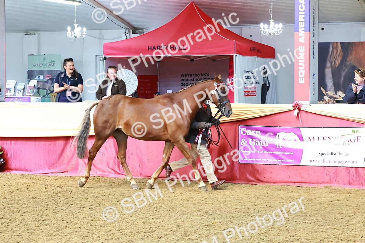 SBM_22457 - Class 902 - Supreme Final - IH Diamond