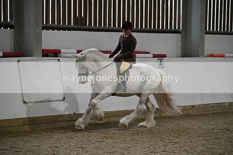WJ7_4189 - Class 17 Ridden Cob