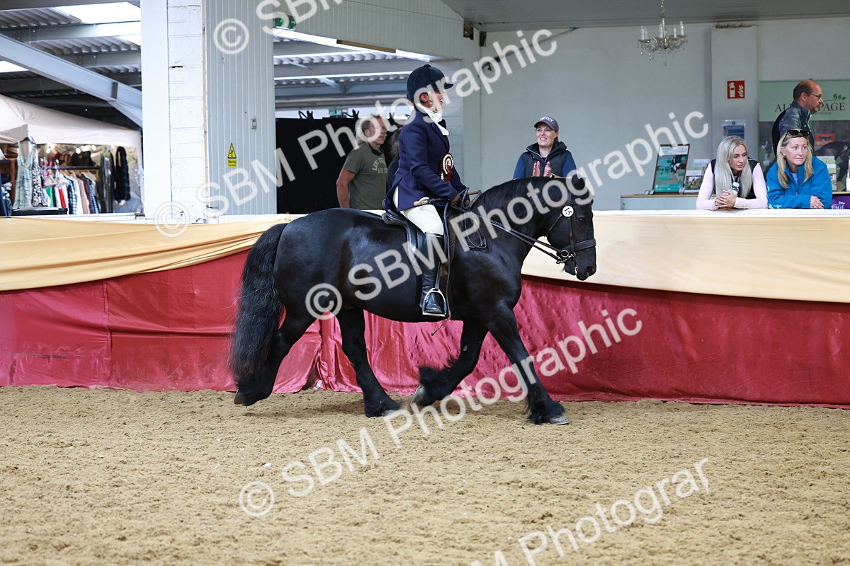 SBM_18931 - Class 952 - M&M Ridden Supreme Final