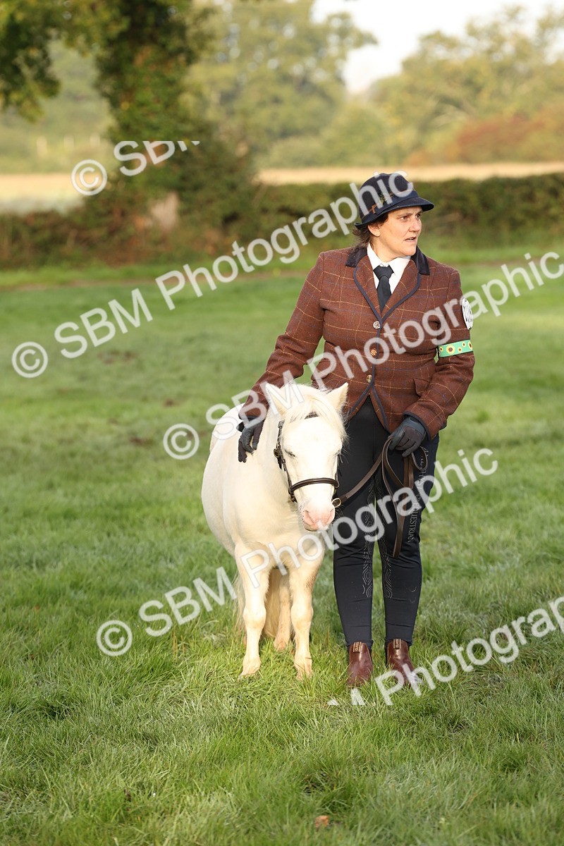 SBM_54439 - S51 - Foreign Breeds In Hand