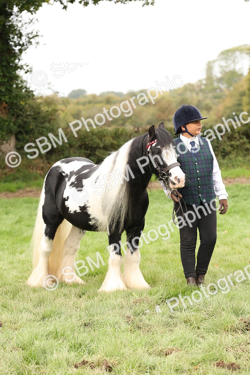 SBM_59320 - S57 - Traditional Cob In Hand