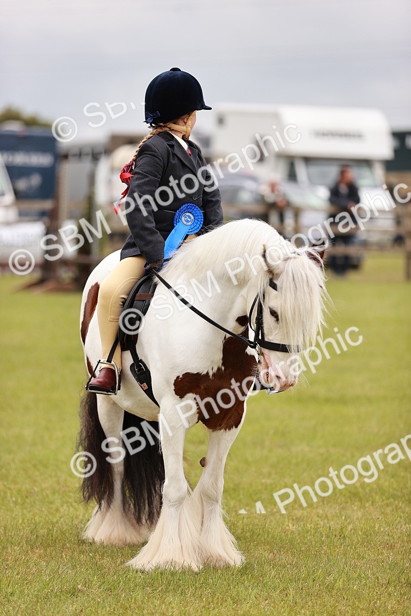 SBM_06245 - Class 39-41 TGCA In Hand and Ridden