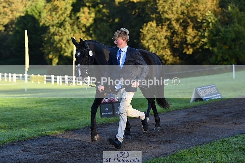 231022-085558-21456 - 615-MBF.JOEY-Tommy.Marsden-TrotUp+SJ