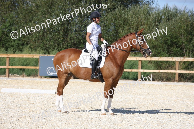 20260905-1553 - Class 5 - Novice 2