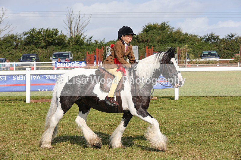 1X9A3426 - Class 28: Ridden Native/Trad Coloured Pony