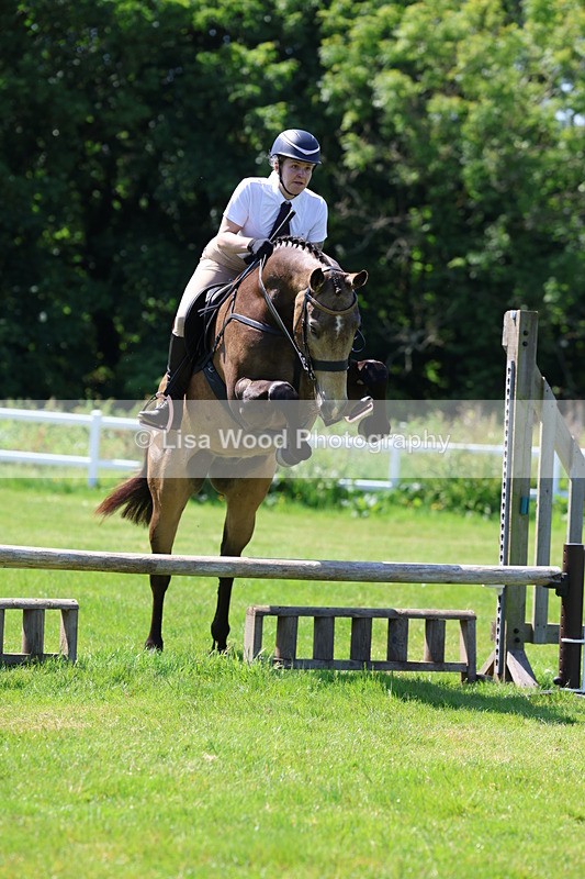 3E7A6926 - Class 30: Novice Working Hunter
