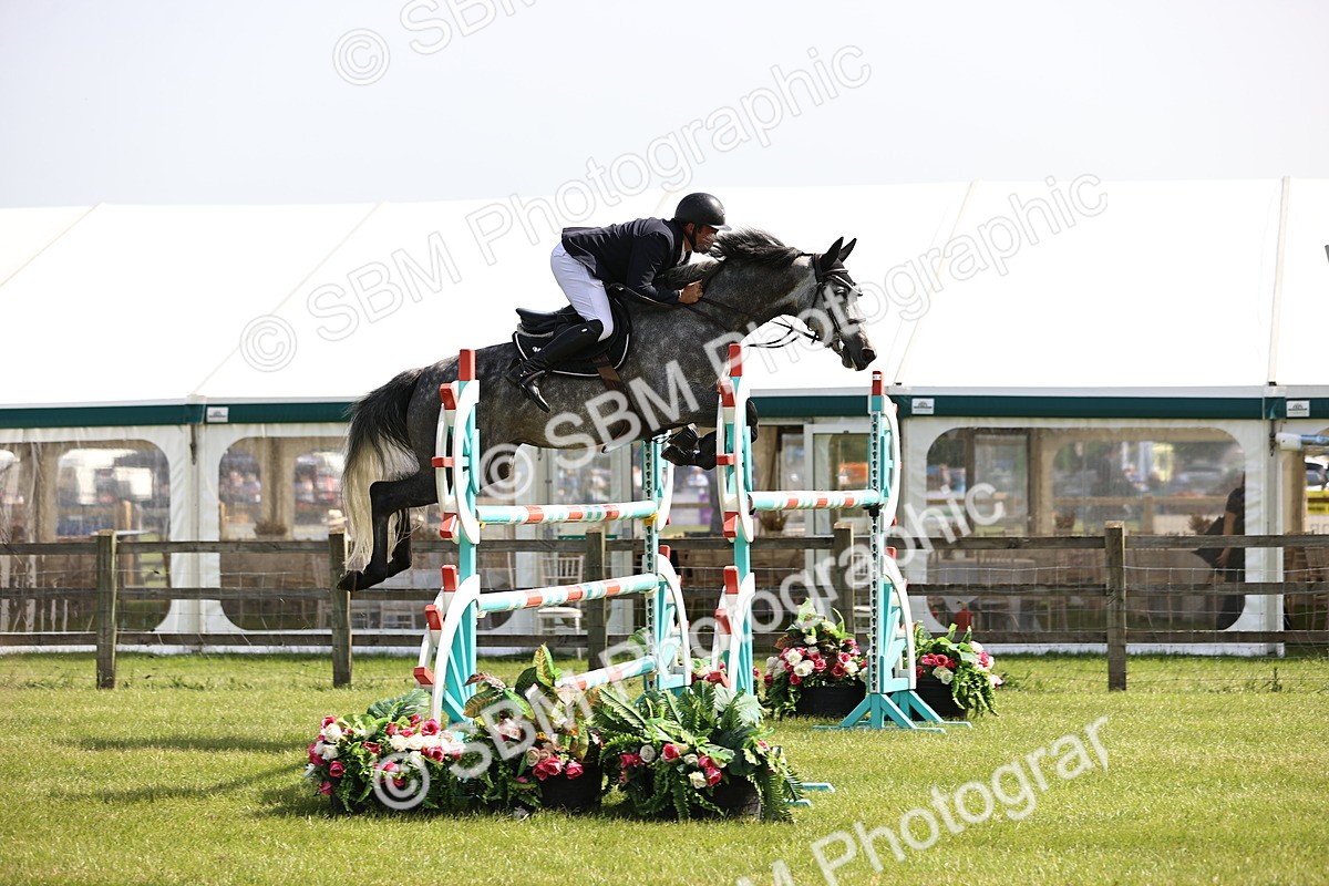SBM_02941 - Class 201 - British Horse Feedds Speedi Beet HOYS Grade C
