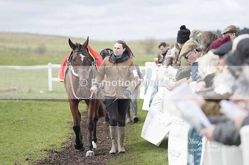 PtP 260323 0334 - New Forest Hounds Point-to-Point Larkhill 26/03/23