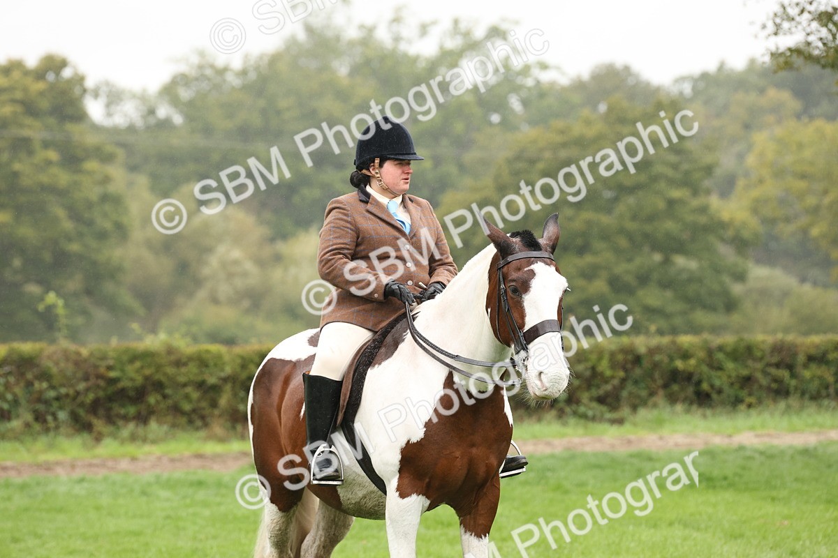 SBM_69852 - S69 - Show Cob Ridden