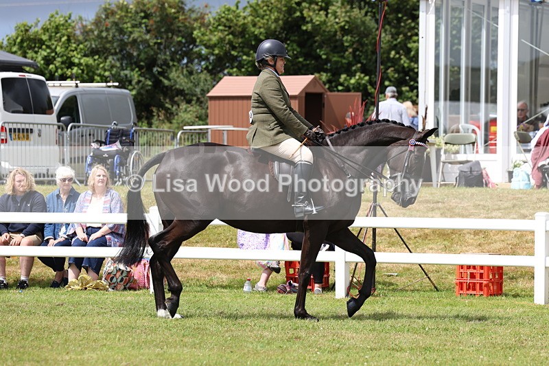 3E7A0864 - Class 8: Open Riding Horse/Hack