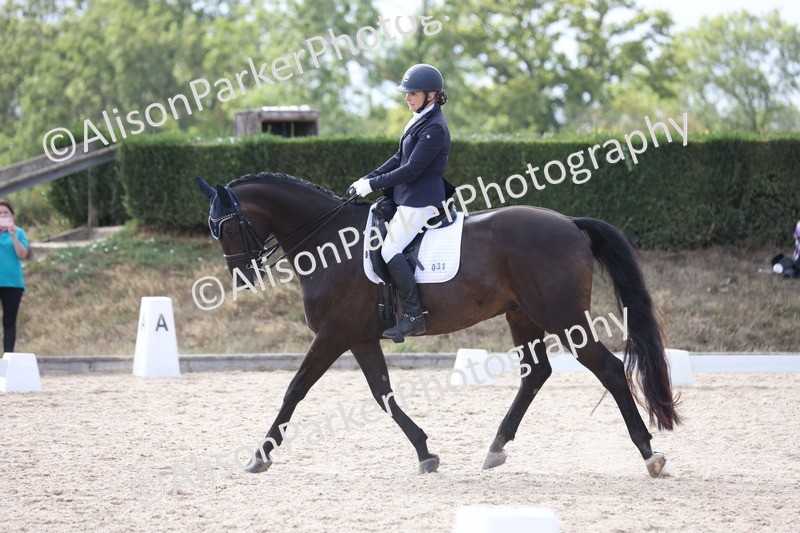 20250820-1568 - Class 21 - Advanced Medium 5