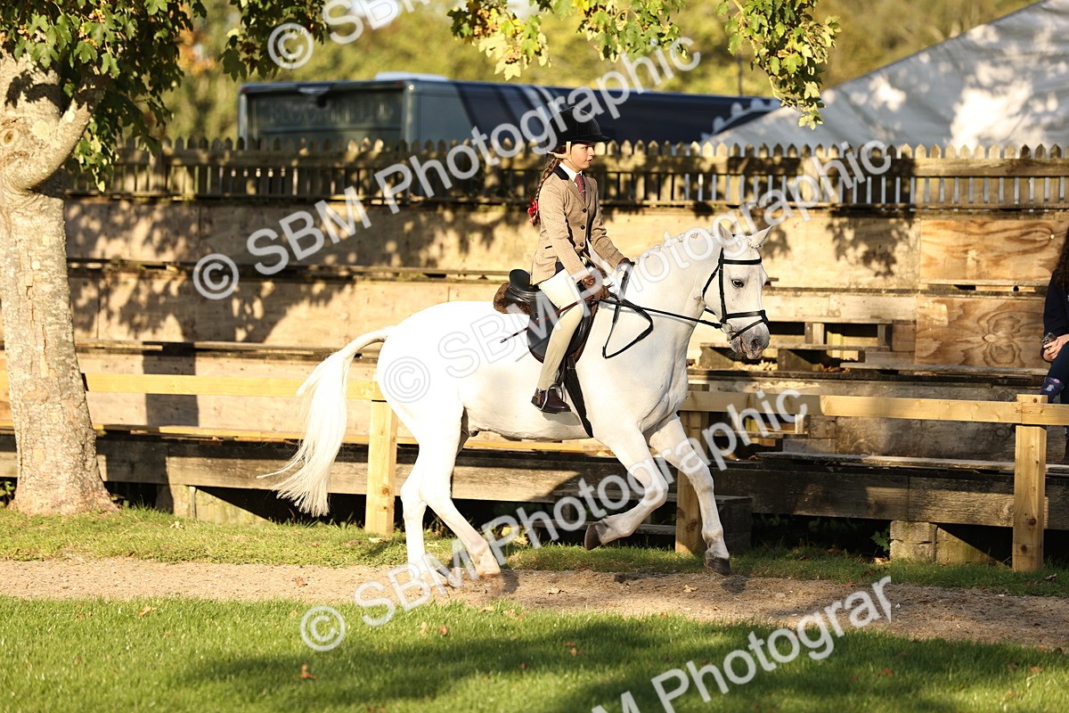 SBM_29628 - S7 - Novice & Newcomers Ridden Pony