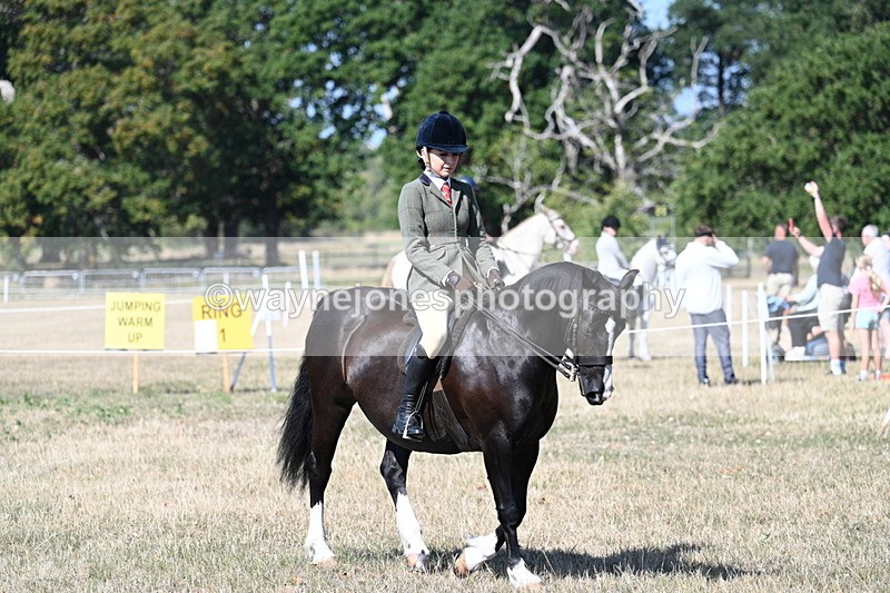 WJ7_3544 - Class 9 Mountain & Moorland Ridden