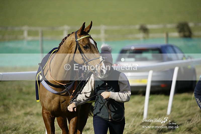 PtP 260222 148 - Kingston Blount Racing Club Point-to-Point 26/02/22