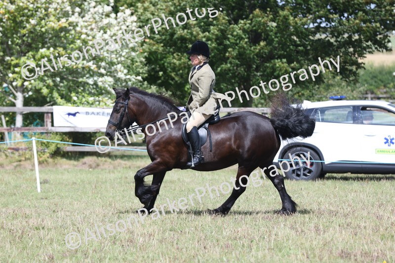 20250831-2958 - Class 19 - Mountain and Moorland