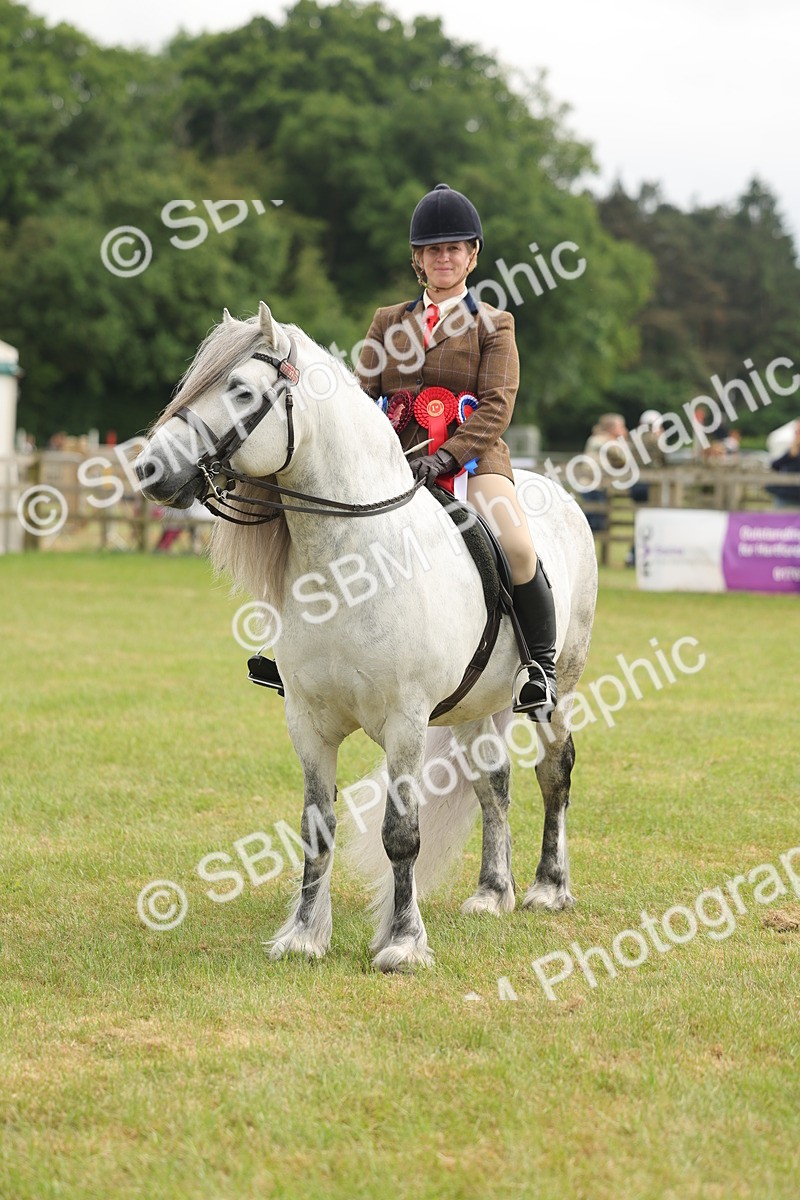 SBM_09161 - Class 78-80 - Ridden M&M Non Welsh Ponies