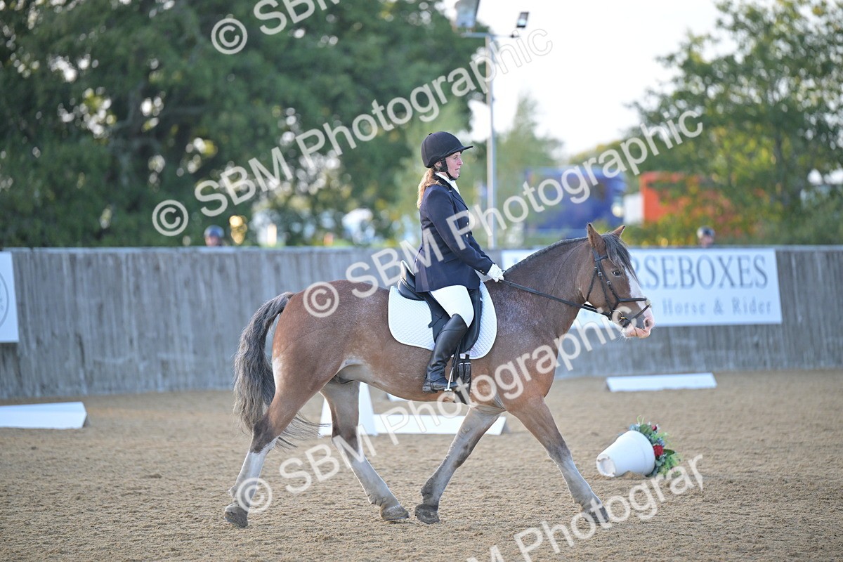 SBM_13531 - D3 - Small Tour Championship Intro 3