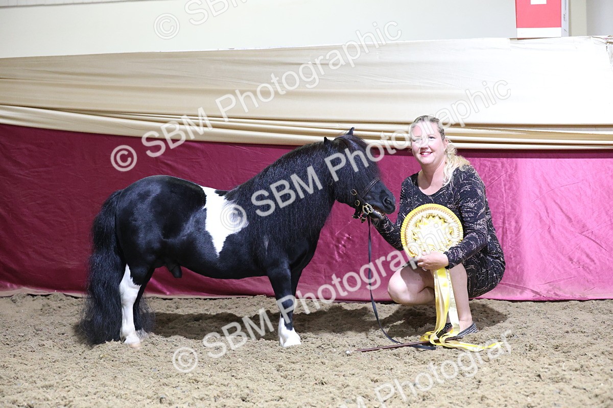 SBM_21624 - Class V - Champion of Champions