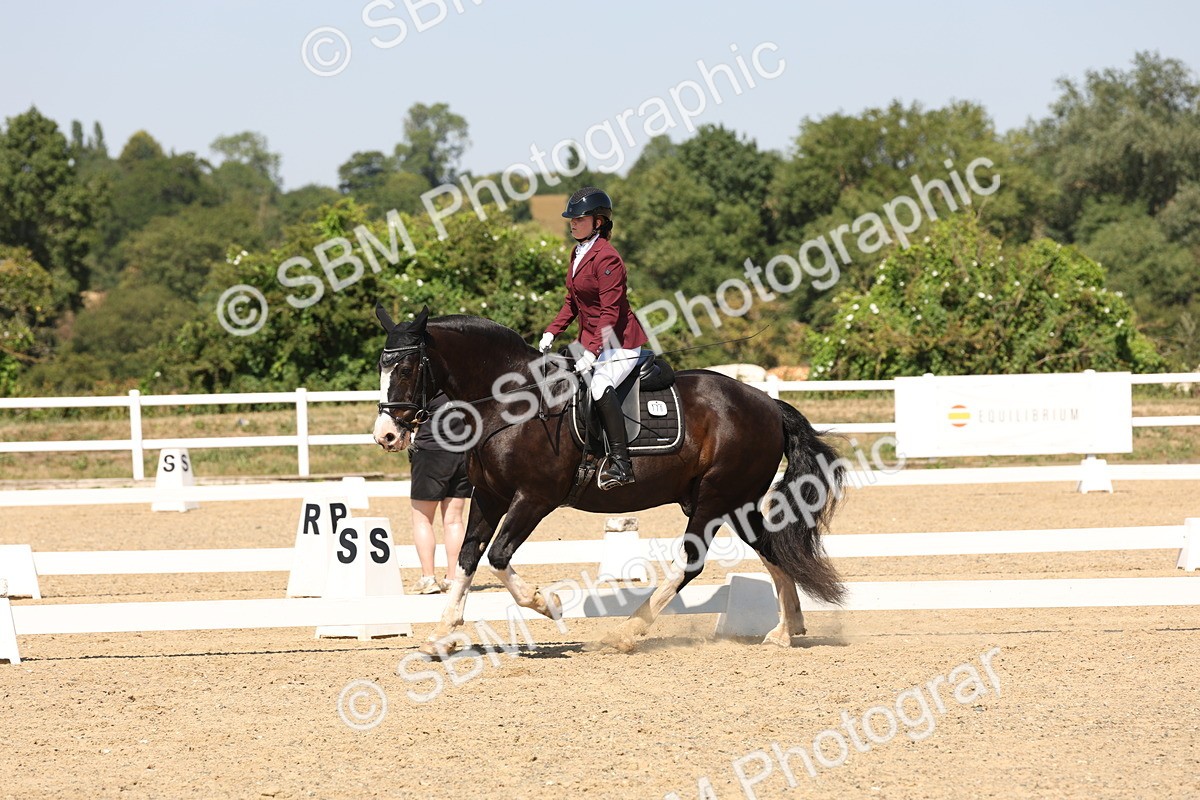 SBM_005646 - Prelim 4 - 13.34-15.39