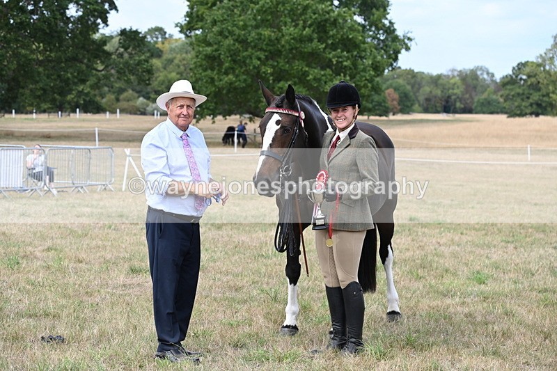 WJ6_6352 - Class 19 In-hand Veterans (Uploaded correct folder)