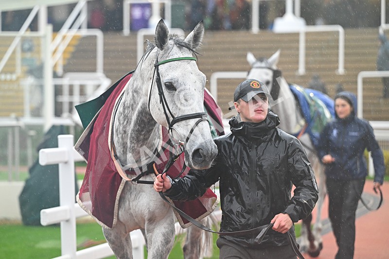 141125-Race 2-Numitor-9358 - Race 2