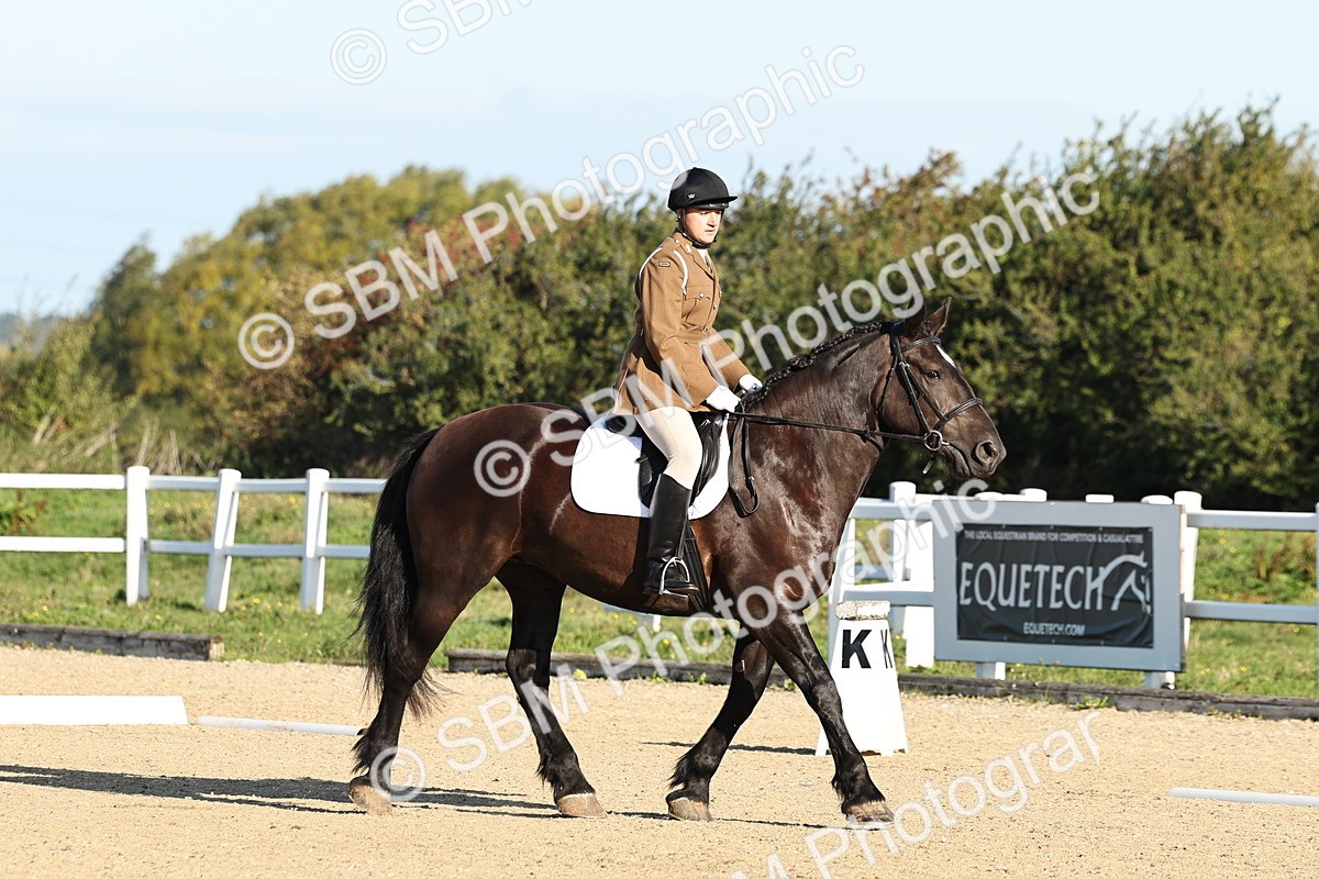 SBM_003082 - Class 66 - Intro 3