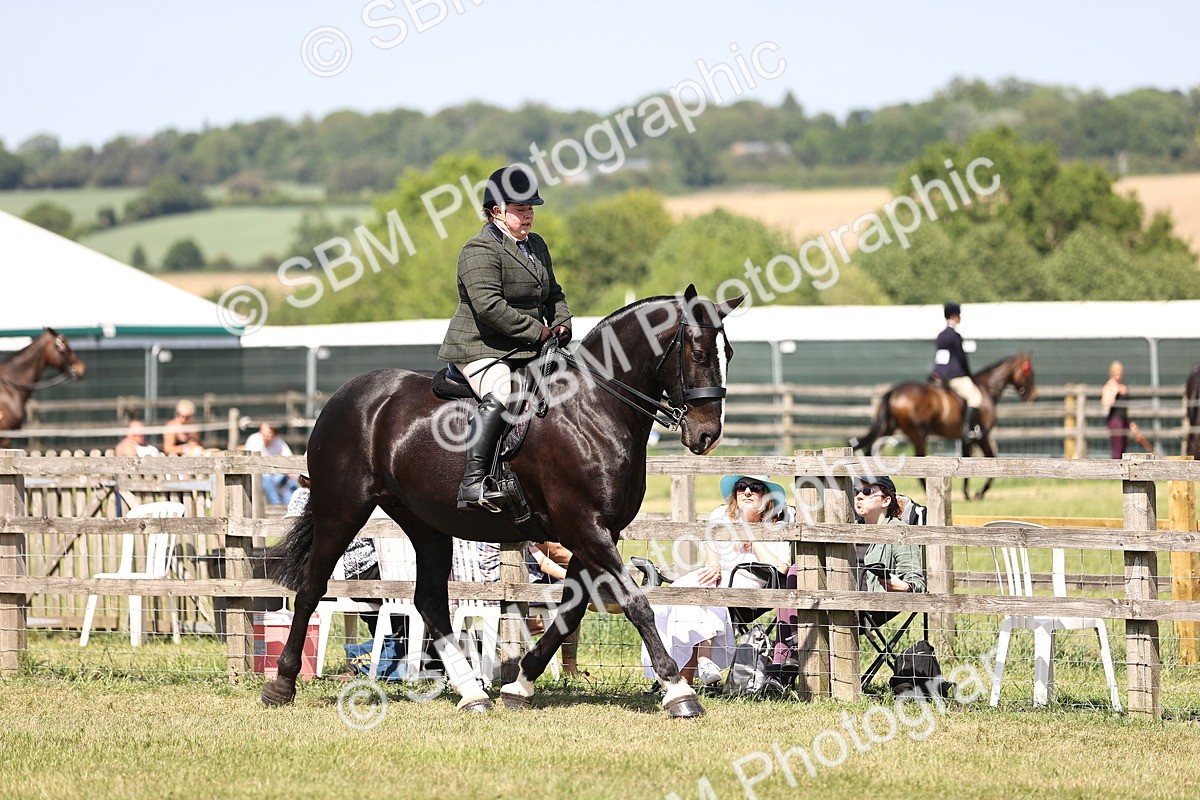 SBM_17827 - Class 81-83 - TSR Ridden Amateur of the Year - Horses
