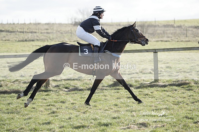 PtP 260223 1142 - South & West Wilts Point-to-Point Larkhill 26/02/23