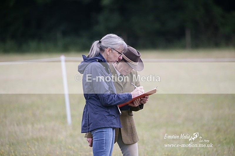 BVRC 030721 794 - Bourne Valley Riding Club Dressage 03/07/21