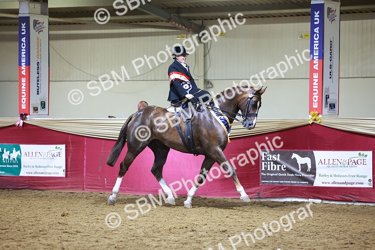 SBM_15047 - Class N - Side Saddle Champ