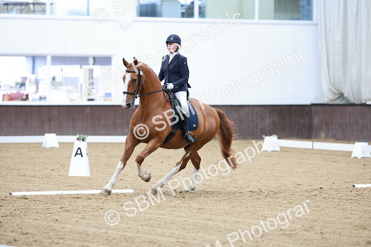 SBM_003397 - Class 4 - Prelim 3