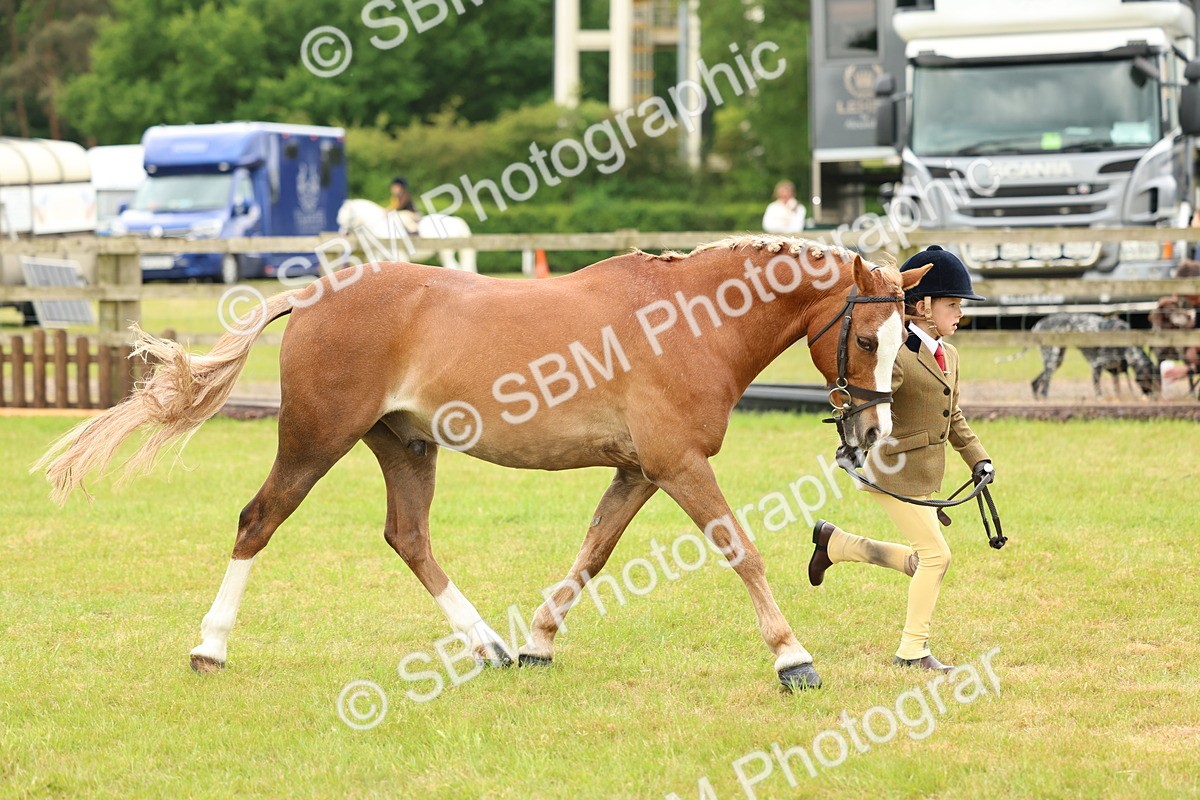 SBM_10266 - Class 44-45 - LIHS BSPS Open Nursery and Cradle Stakes