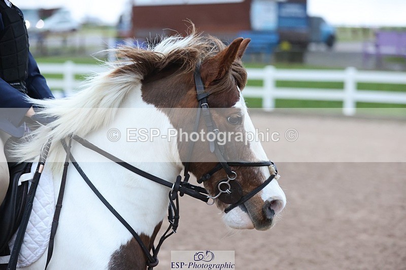 241201X-092342-00053 - Cls 02 Pony Intro 70