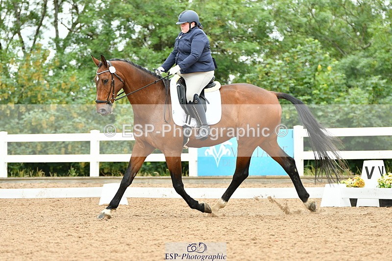 230701A-115326-05584 - Cls 7 Elementary 45