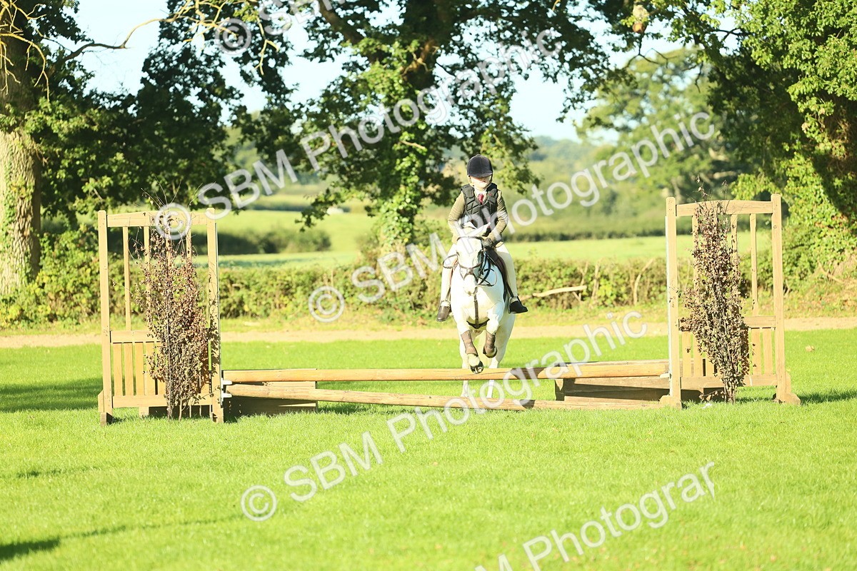 SBM_36282 - S29 - Novice & Newcomers Working Hunter Pony