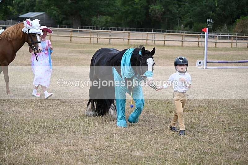 WJ6_8694 - Class 11 Fancy Dress